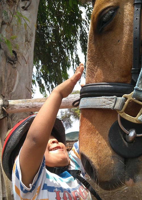 Niño dando cariño a caballo