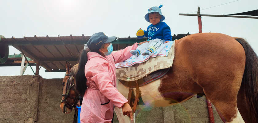 Niño haciendo actividad sobre el caballo