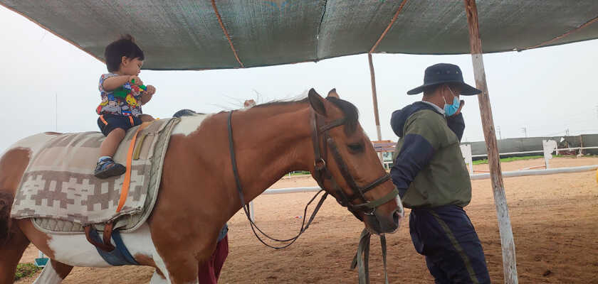 Niño armando juego y montando el caballo