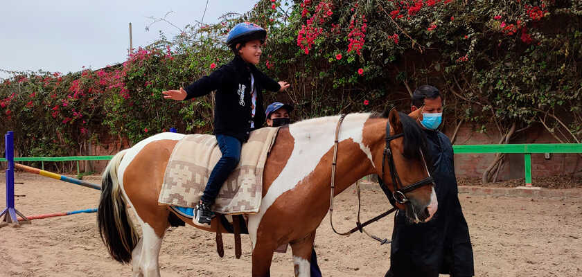 Niño levantando los brazos sobre el caballo