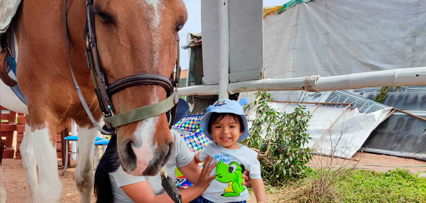 Niño sonriente junto al caballo