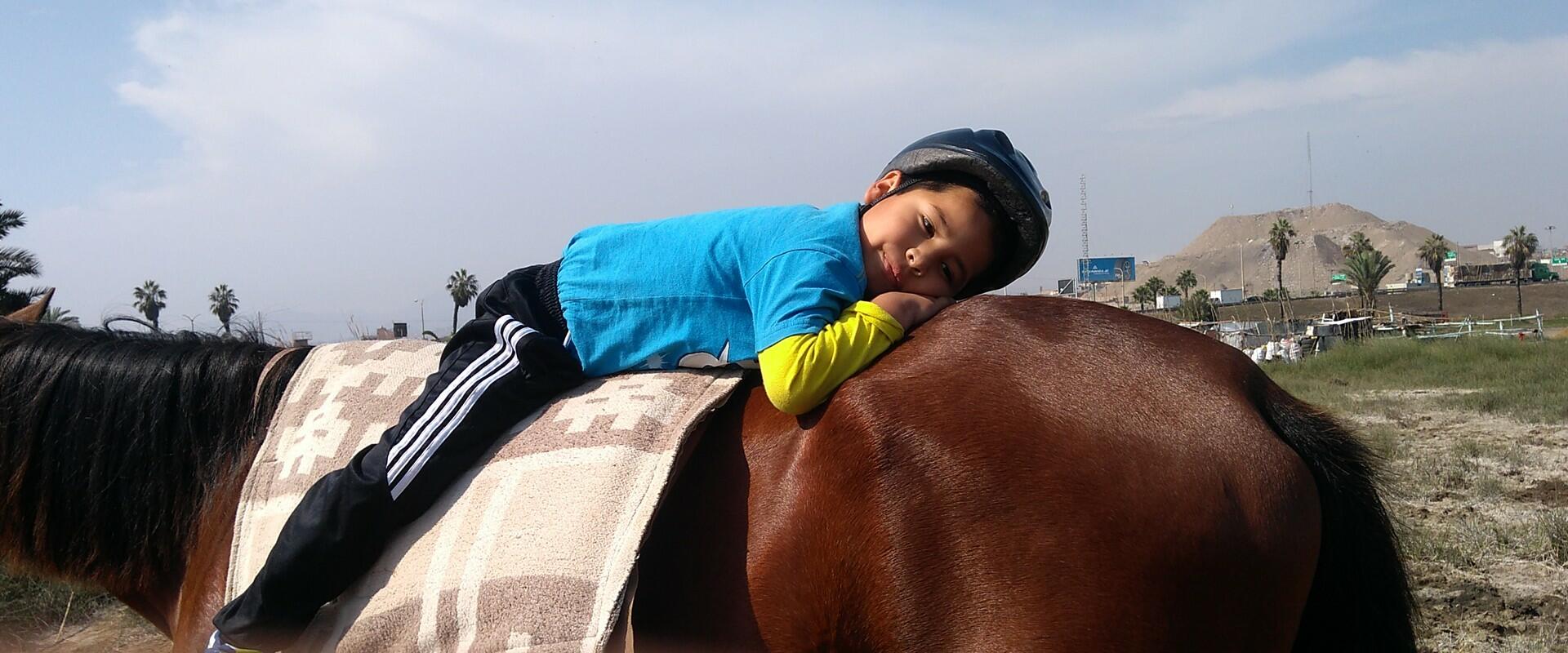 Creando lazos entre paciente y caballo