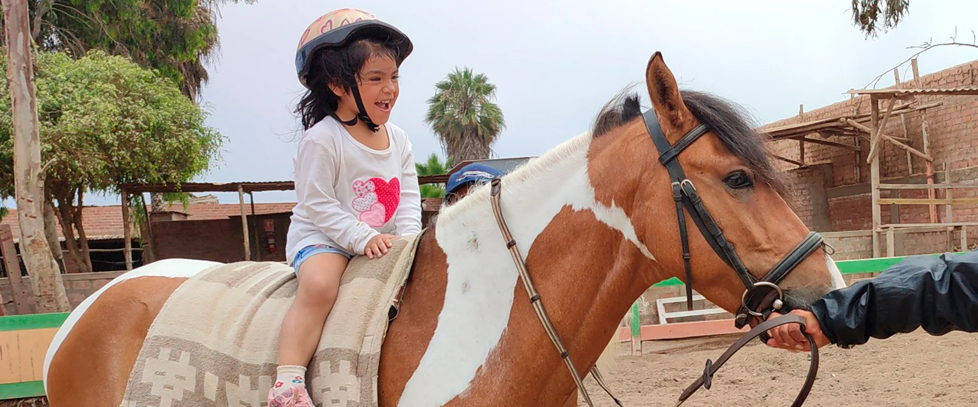 Niña sonriente sobre caballo